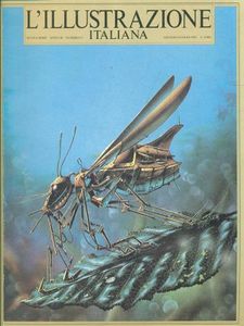L'iIlustrazione Italiana Nuova Serie N.11