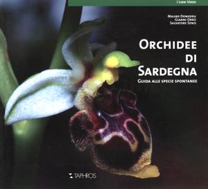 Orchidee di Sardegna
