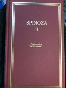I grandi filosofi - Spinoza II