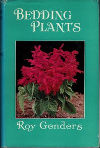 Bedding Plants