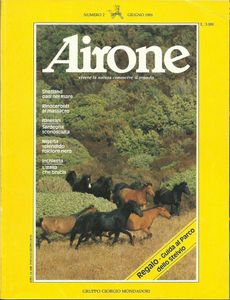 Airone N.2