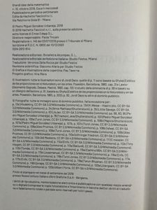 Grandi idee della matematica - n. 10 - La matematica nell'arte