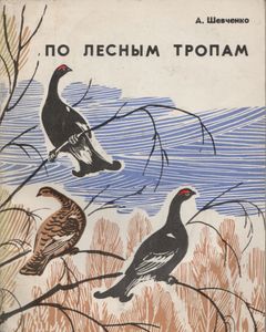По Лесным Тропам