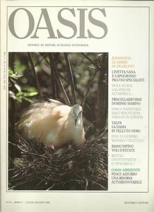 Oasis N. 43-44