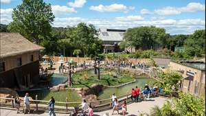 Zoo