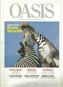 Oasis N. 99