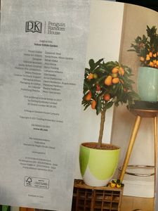 L'Orto Dentro Casa