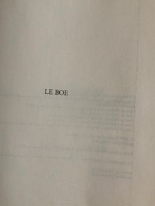Il Formichetti Di Gino & Michele. Dizionario Delle Formiche 1990-2020