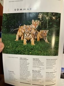 National Geographic Italia (2019-12)