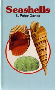 Seashells