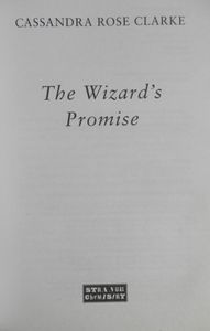 The Wizard’s Promise