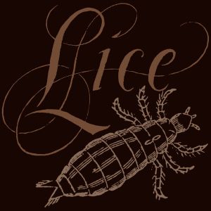 Lice