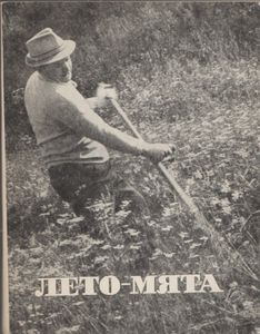 Лето-Мята