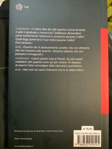 La Realtà Al Tempo Dei Quanti. Einstein, Bohr E La Nuova Immagine Del Mondo