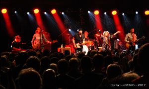 Hamburg Blues Band