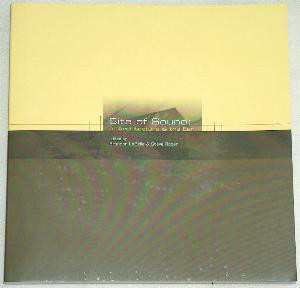 Site of Sound: of Architecture & the Ear