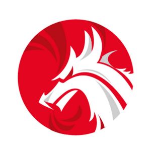 Wydawnictwo Dragon