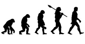 Evolution