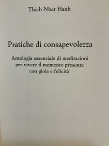 Pratiche Di Consapevolezza. Antologia Essenziale Di Meditazione Per Vivere Il Momento Presente Con Gioia E Felicità