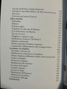 Pratiche Di Consapevolezza. Antologia Essenziale Di Meditazione Per Vivere Il Momento Presente Con Gioia E Felicità