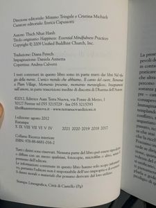 Pratiche Di Consapevolezza. Antologia Essenziale Di Meditazione Per Vivere Il Momento Presente Con Gioia E Felicità