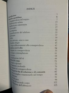 Pratiche Di Consapevolezza. Antologia Essenziale Di Meditazione Per Vivere Il Momento Presente Con Gioia E Felicità