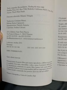 Fare Pace Con Sè Stessi. Guarire Il Bambino Interiore, Trasformando Le Ferite E Il Dolore Dell'Infanzia In Forza E Consapevolezza