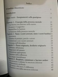 Fare Pace Con Sè Stessi. Guarire Il Bambino Interiore, Trasformando Le Ferite E Il Dolore Dell'Infanzia In Forza E Consapevolezza