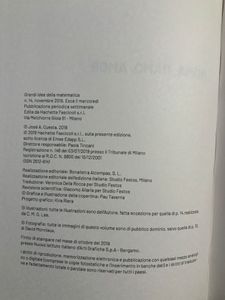 Grandi idee della matematica - n. 14 - Roma, ramo, amor.