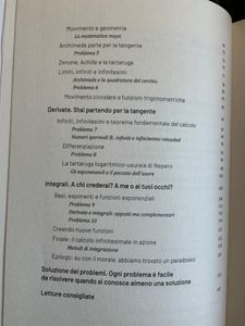 Grandi idee della matematica - n. 15 - Calcolo infinitesimale