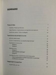 Grandi idee della matematica - n. 16 - Curve e superfici nel corso del tempo.