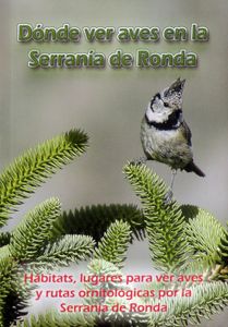 Dónde Ver Aves en la Serranía de Ronda