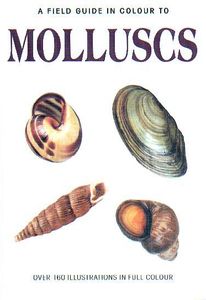A Field Guide in Colour to Molluscs