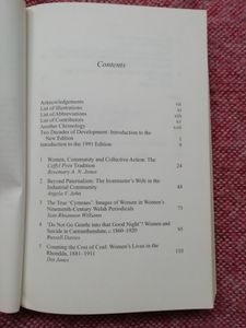 Our Mothers' Land: Chapters in Welsh Women's History, 1830-1939
