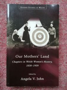 Our Mothers' Land: Chapters in Welsh Women's History, 1830-1939