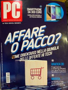PC Professionale (n.306)