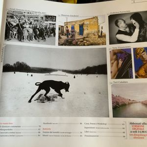 Il Fotografo (n.309)