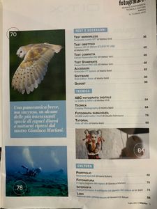 Fotografare (2015-07)