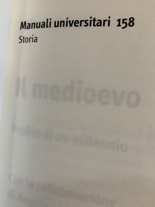 Il Medioevo. Profilo di un millennio