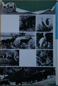 The Wildlife of India