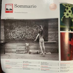 Il Fotografo (n.309)