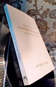 The Nature of Consciousness