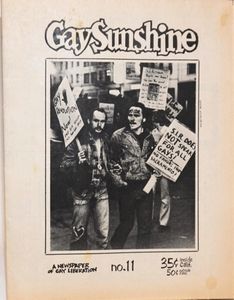 Gay Sunshine No. 11
