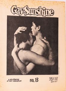 Gay Sunshine No. 13