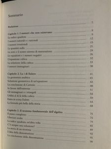 Storia di un numero immaginario. La radice quadrata di -1.