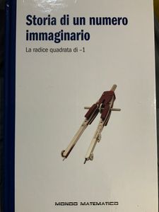 Storia di un numero immaginario. La radice quadrata di -1.