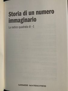 Storia di un numero immaginario. La radice quadrata di -1.