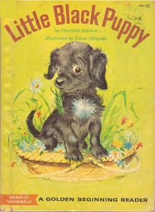 Little Black Puppy