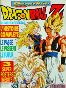 Dorothée Magazine Dragonball Z Hors-Série N°14 Jui 1995