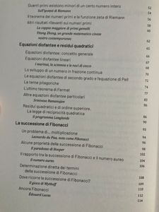 Grandi idee della matematica - n. 20 - La regina della matematica